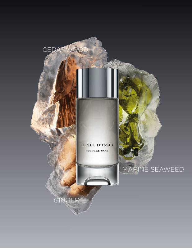 Le Sel D'Issey Edt